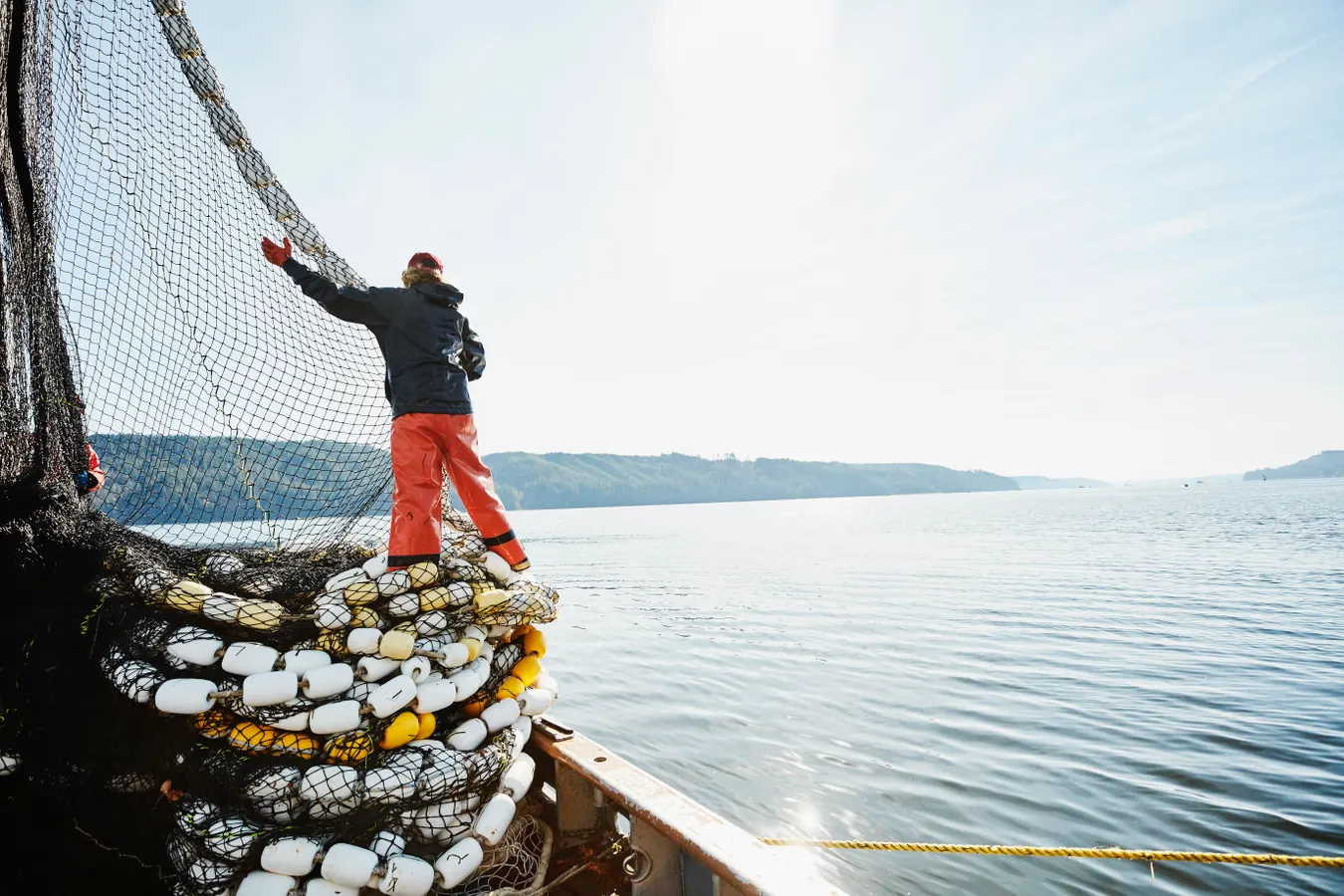 Sustainable Fishing & Ethical Dining