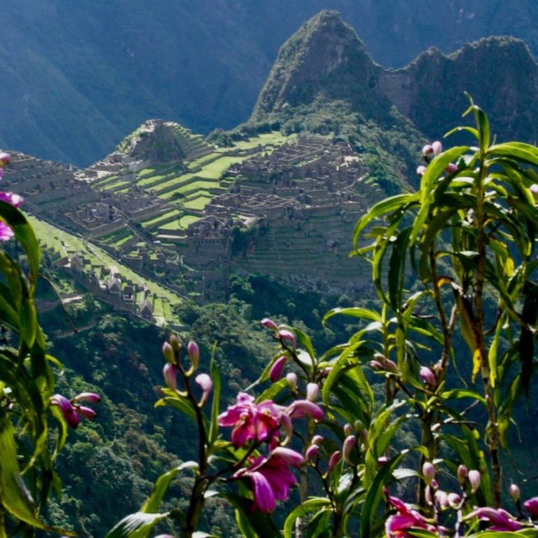 Frequently Asked Questions about a Trek to Machu Picchu