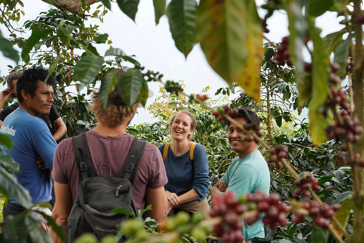 Peruvian Coffee