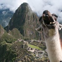 Alpaca Expeditions Full Review – Inca Trail Hike