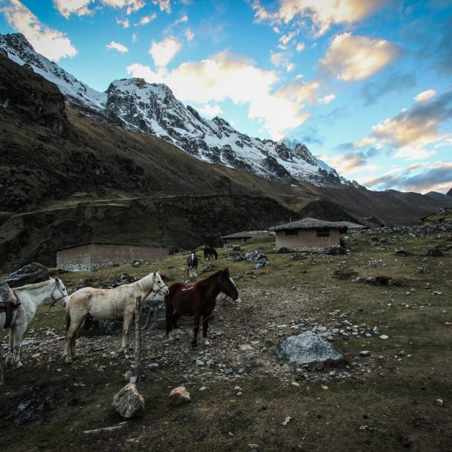 Category: Salkantay and Ausangate with Alpaca Expeditions