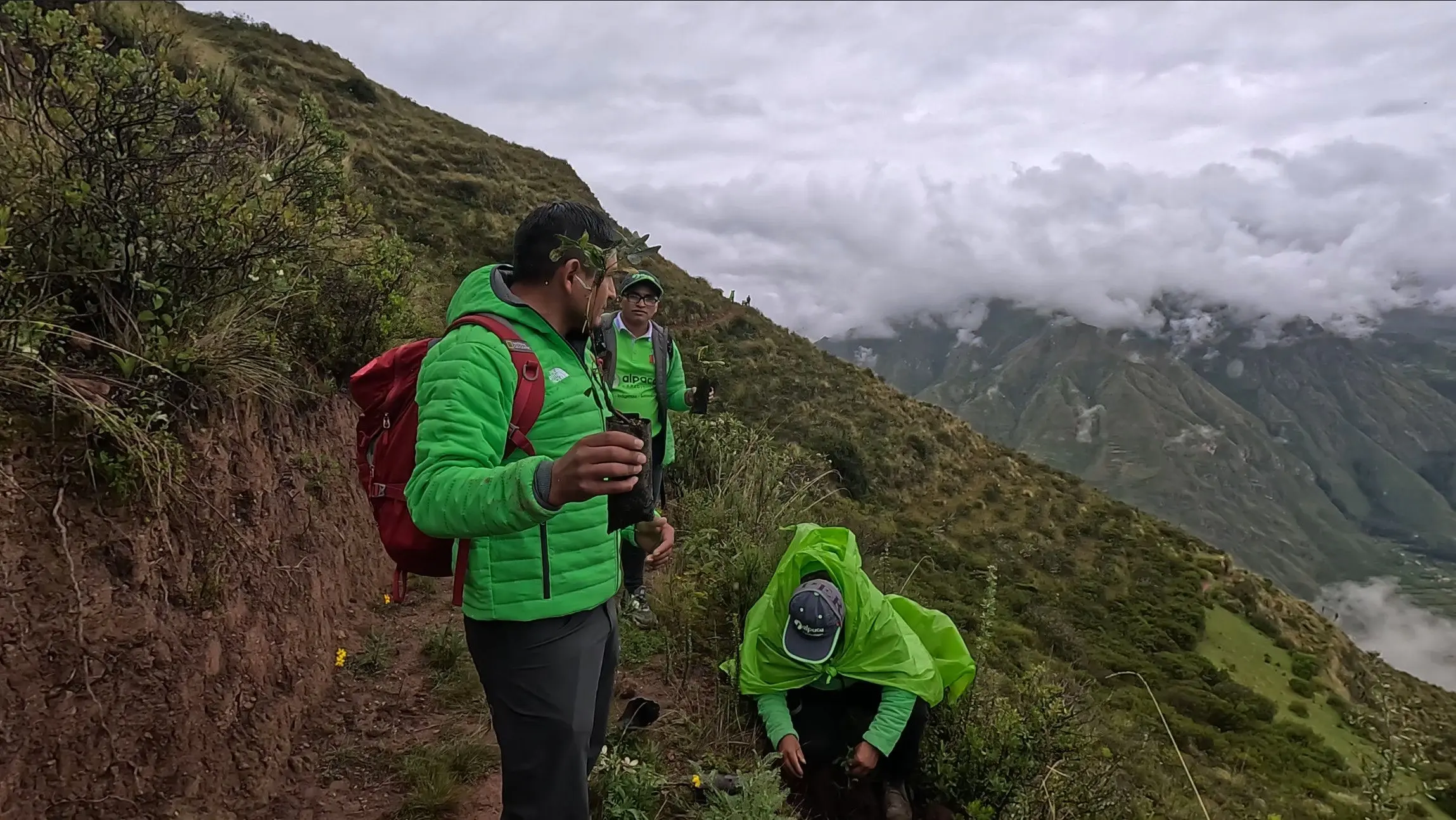 Participant planting a tree during the reforestation campaign in the mountains of Ccaccaccollo.
