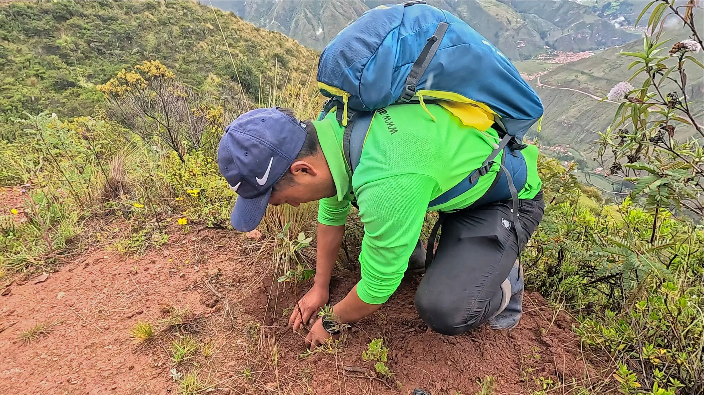 Participant planting a tree during the reforestation campaign in the mountains of Ccaccaccollo.