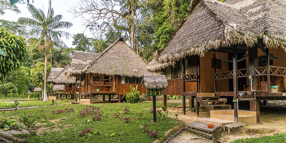 Cusco & Amazon 10D/9N - Alpaca Expeditions