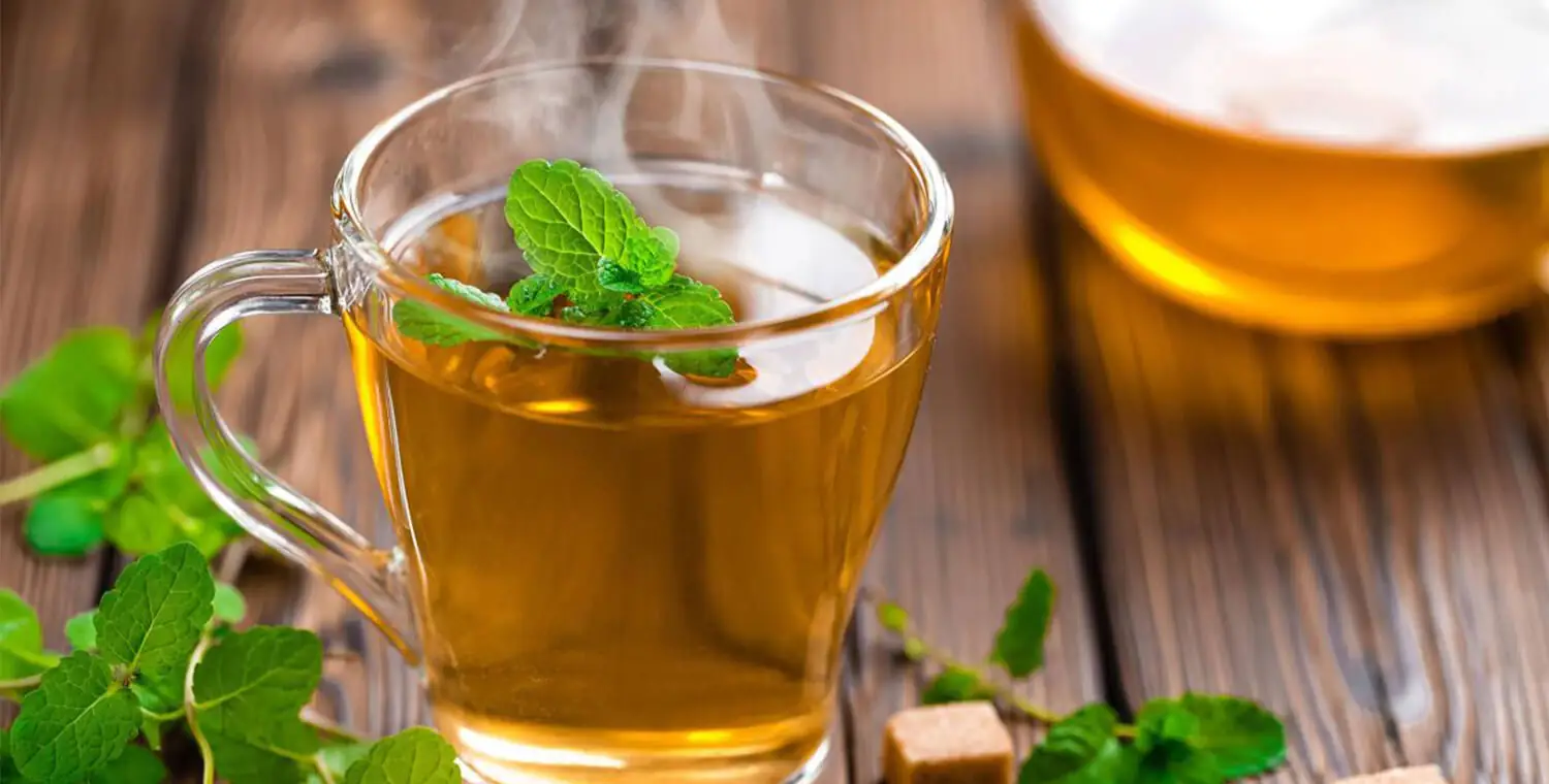 Delicioso y Aromático Té de Muña