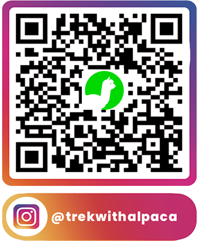 qr instagram