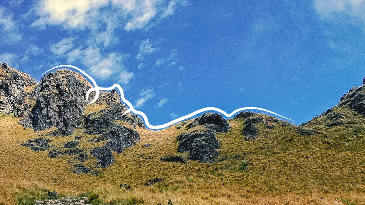 the Andes