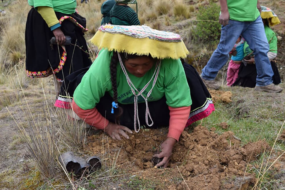 Quenua Trees Project women