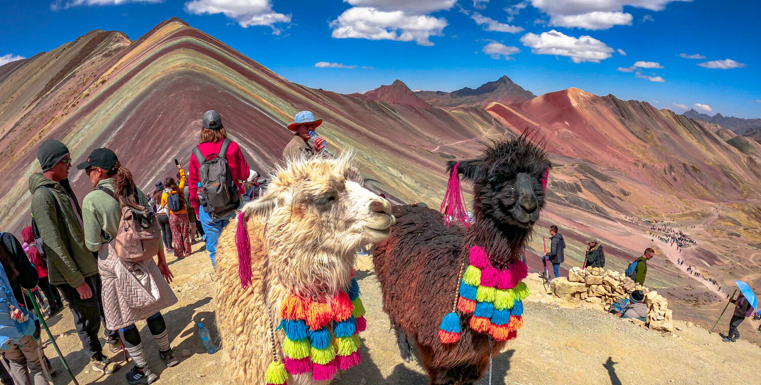Two alpacas enjoy the views of Rainbow Mountain