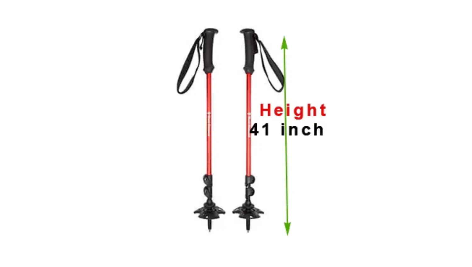 Walking Sticks AE