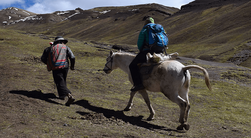 alpaca Expeditions PORTERS and HORSEMEN