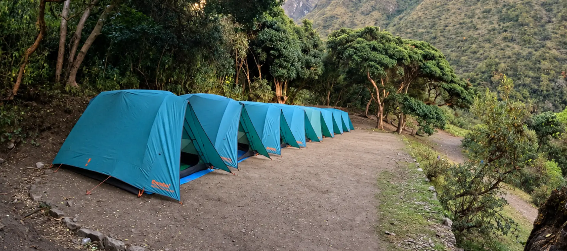 alpaca tents camping