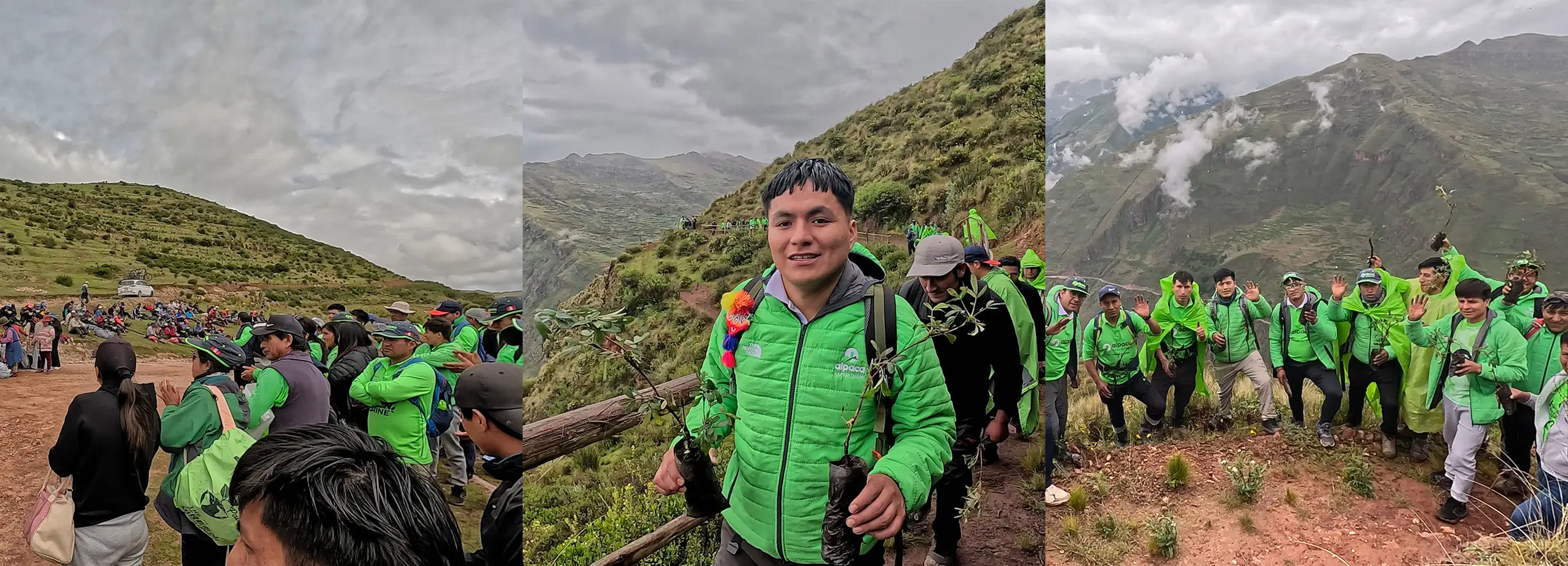 Reforestation Campaign in the Community of Ccaccaccollo