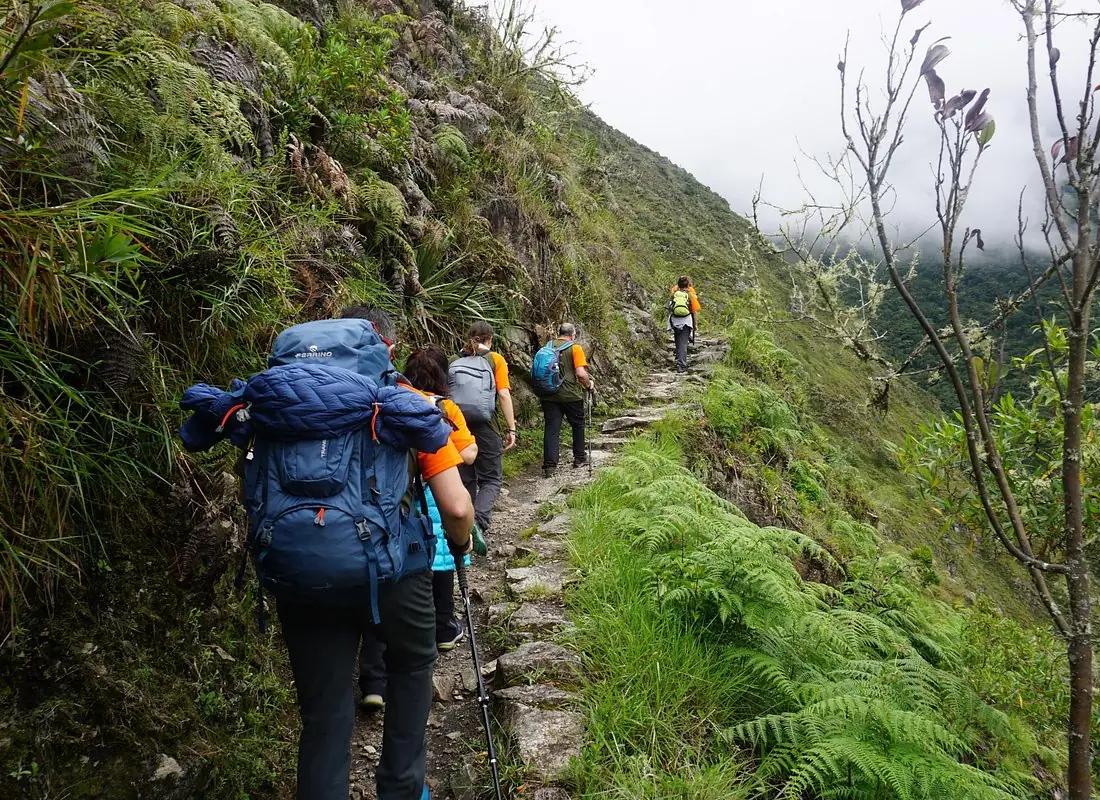 Guide to Machu Picchu
