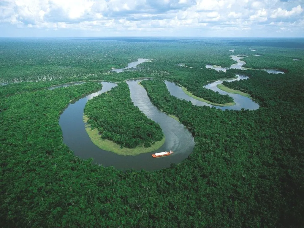 Amazon Rainforest!