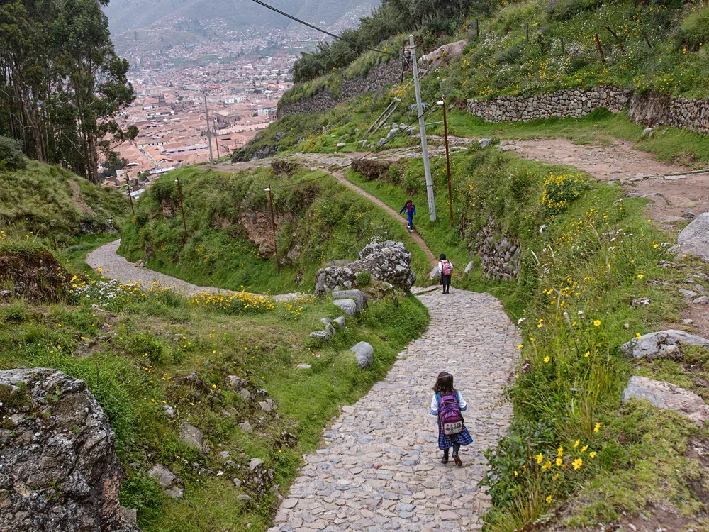 Incas Built Roads
