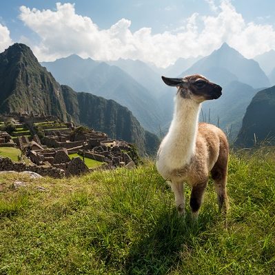 machupicchu092018 circle