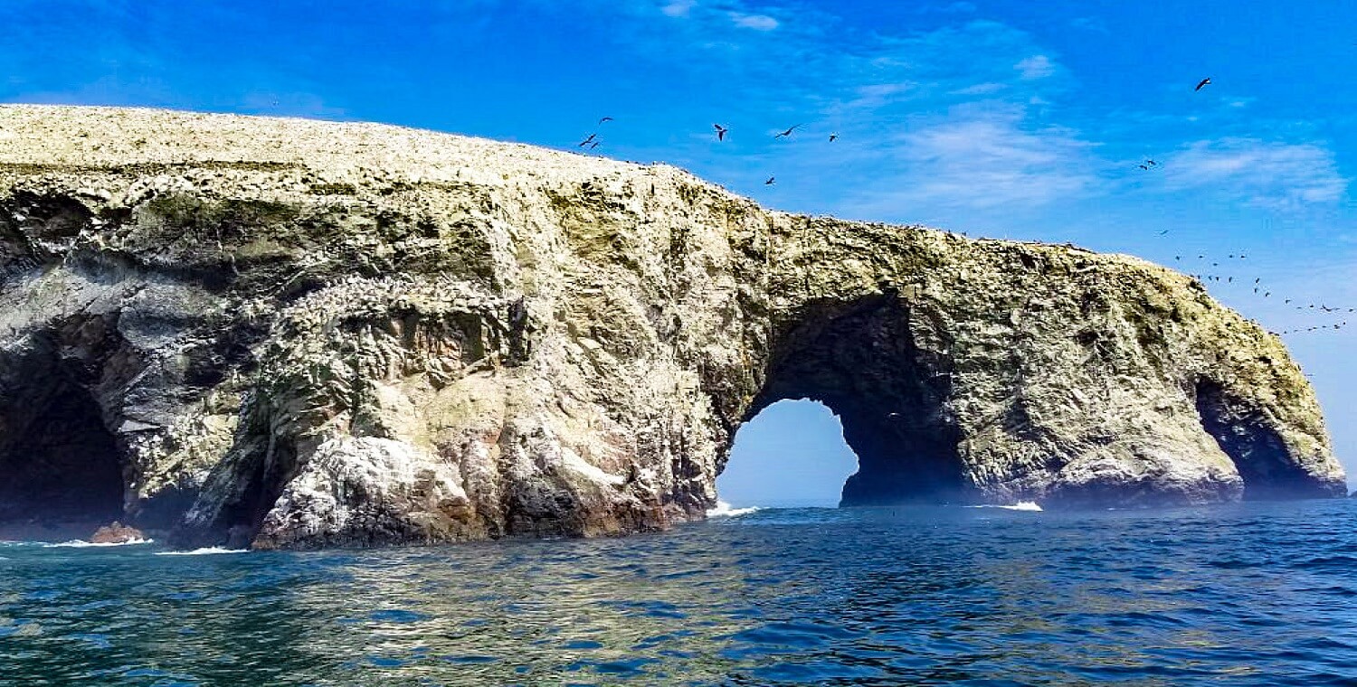 Paracas islas ballestas tour AE