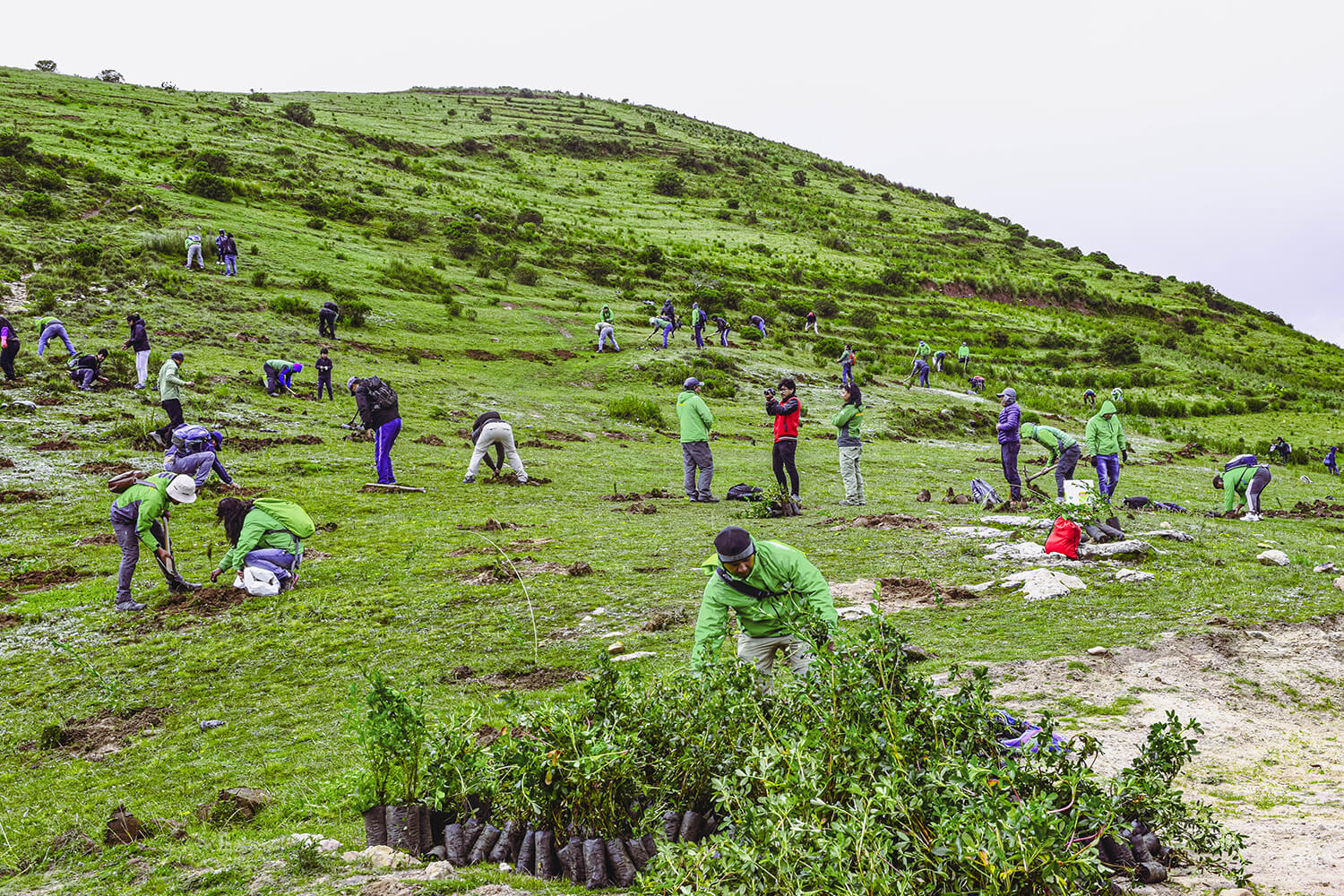 social projects plant trees alpaca expeditions