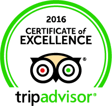 tripadvisor 2016