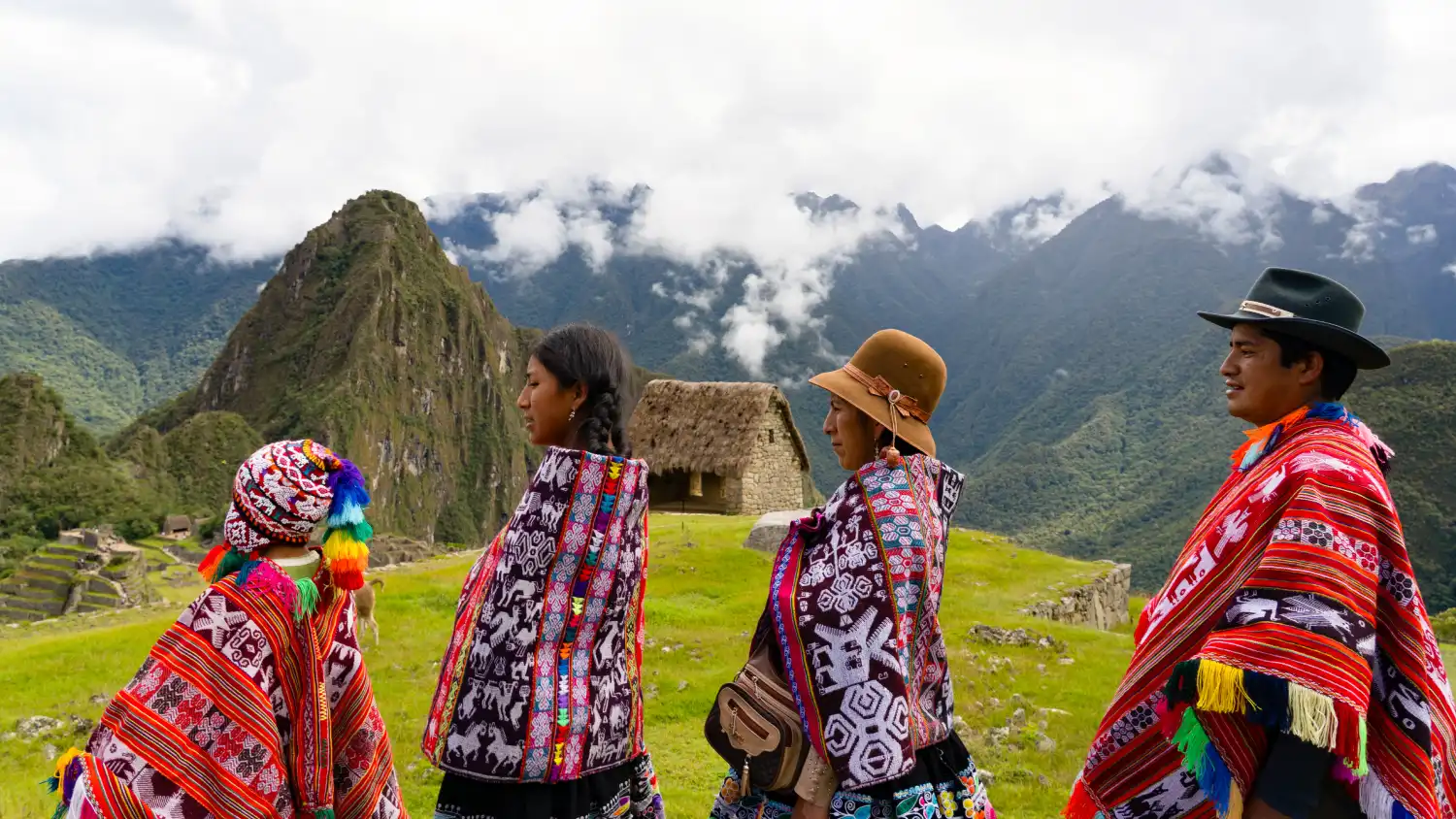 why alpaca machu picchu