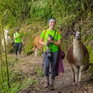 Trekker on the Inca Trail