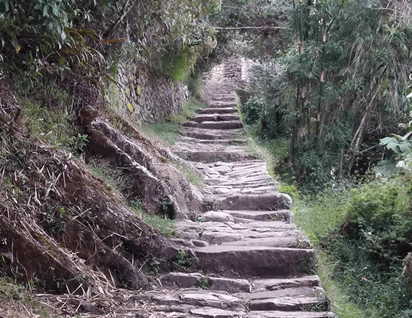 Hiking the Inca Trail - Alpaca Expeditions
