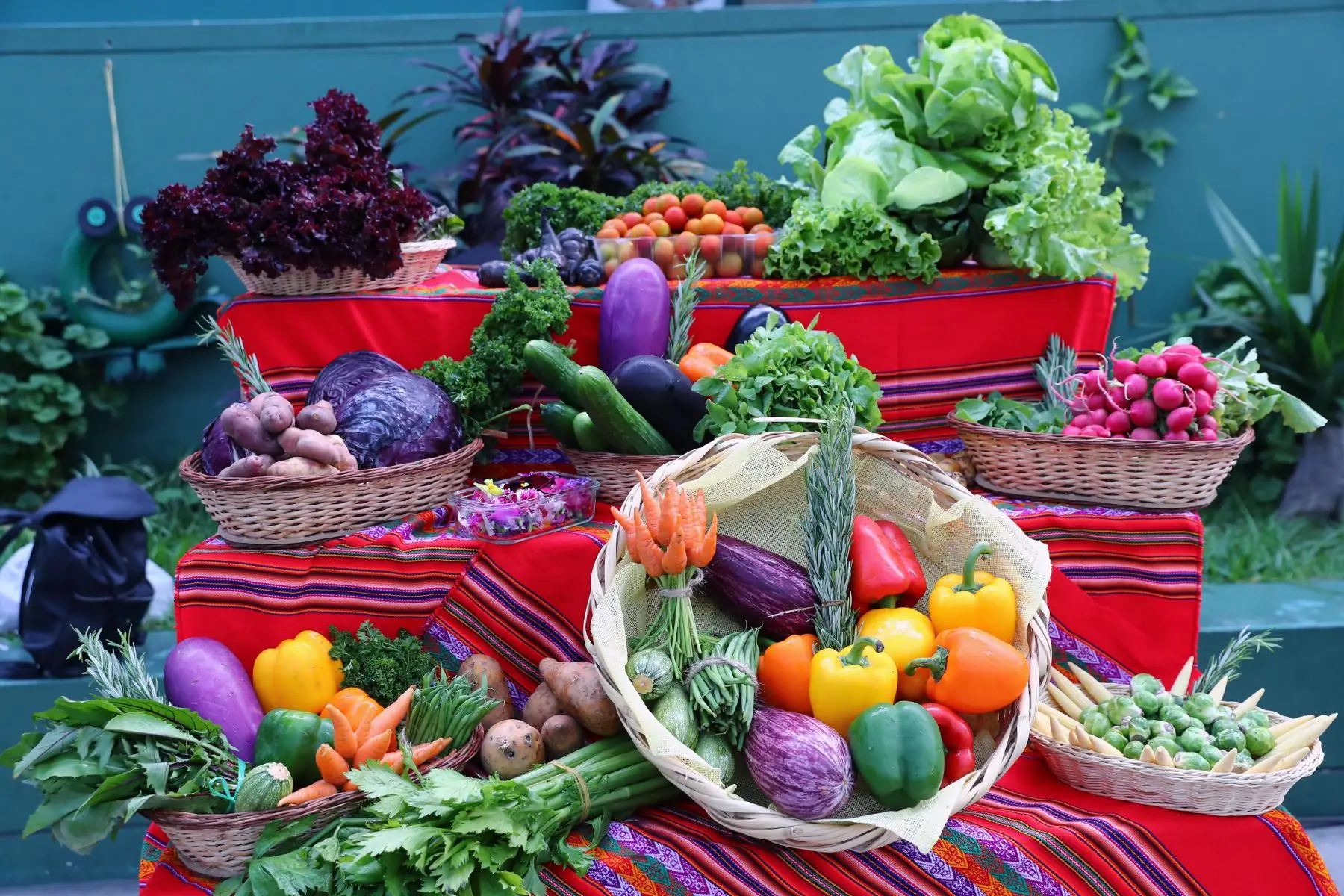 Nutrición para trekking en altura: qué comer antes, durante y después