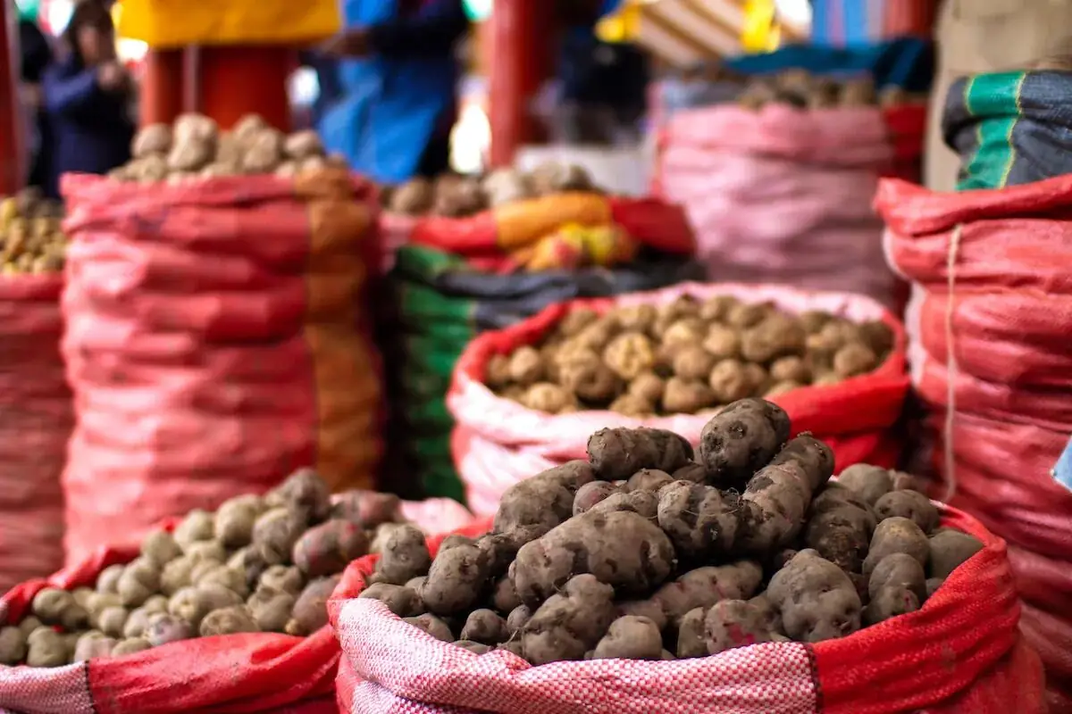 The Potato - Peruvian Fruits