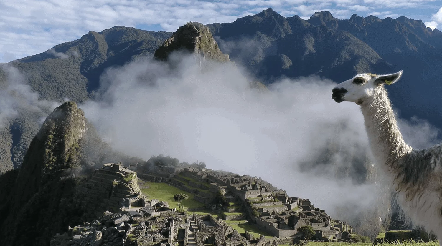Machu Picchu Alpaca Expeditions