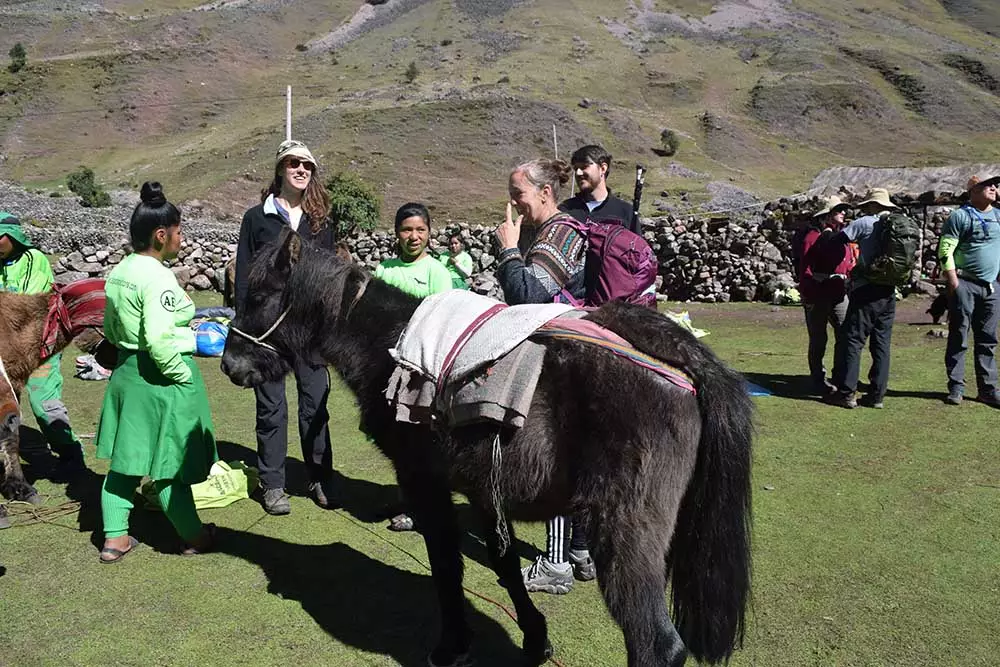 Machu Picchu Guided Tours