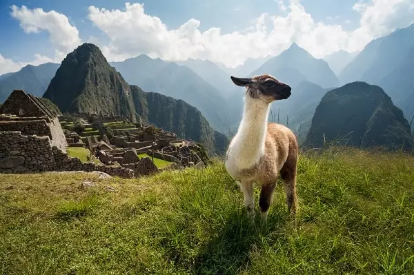 Machu Picchu