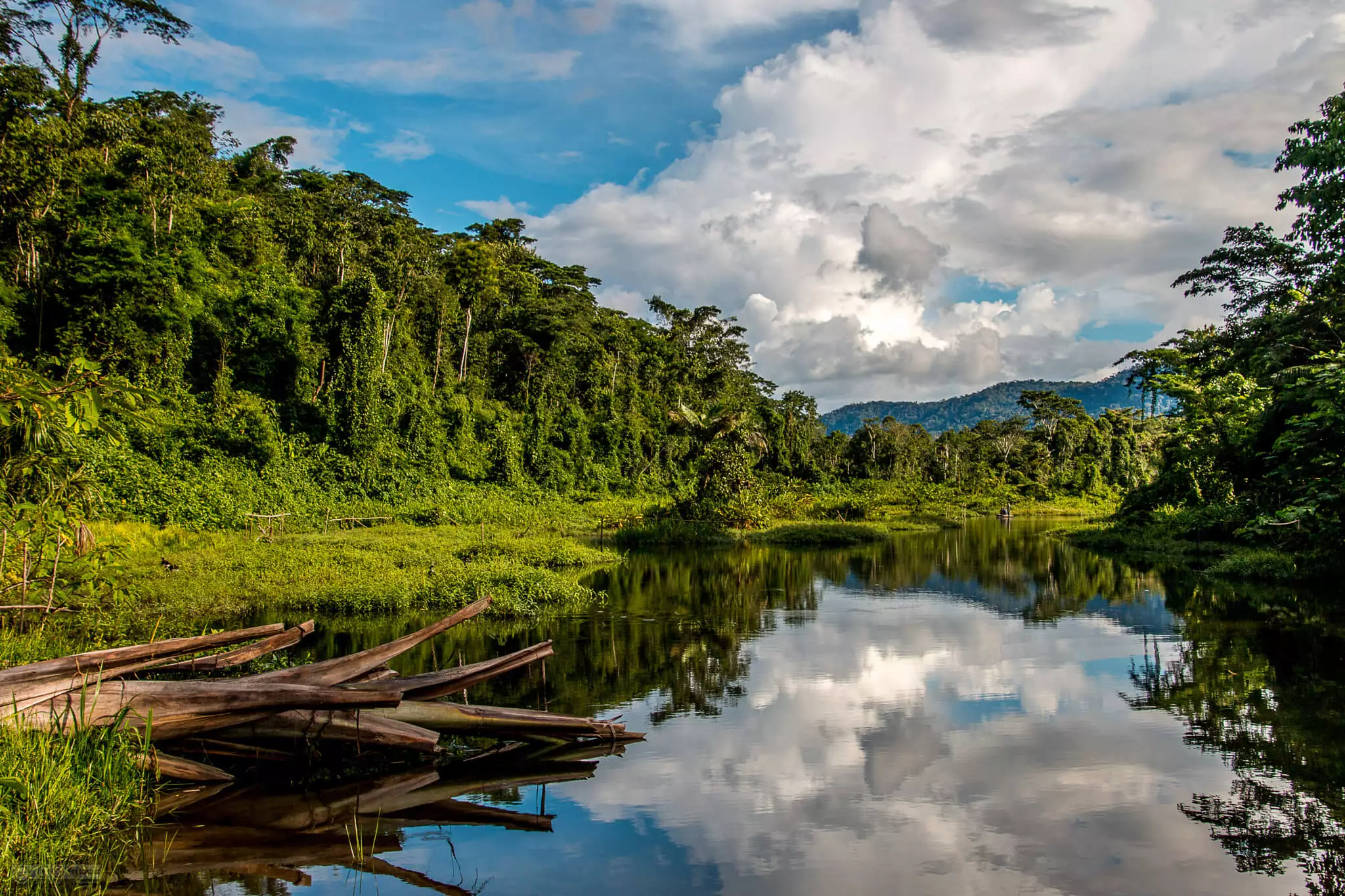 Manu National Park Peru