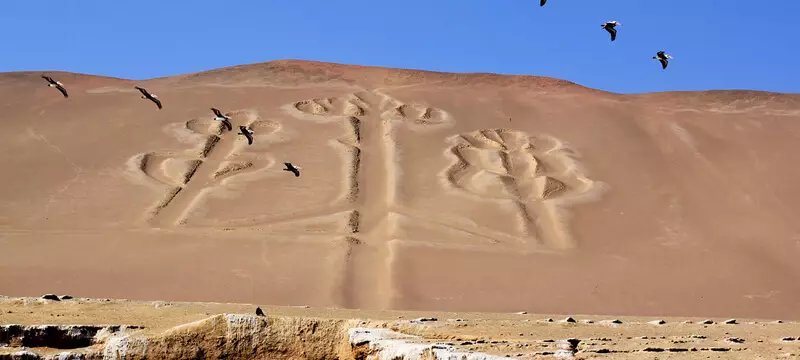 Paracas Islas Ballestas Tour