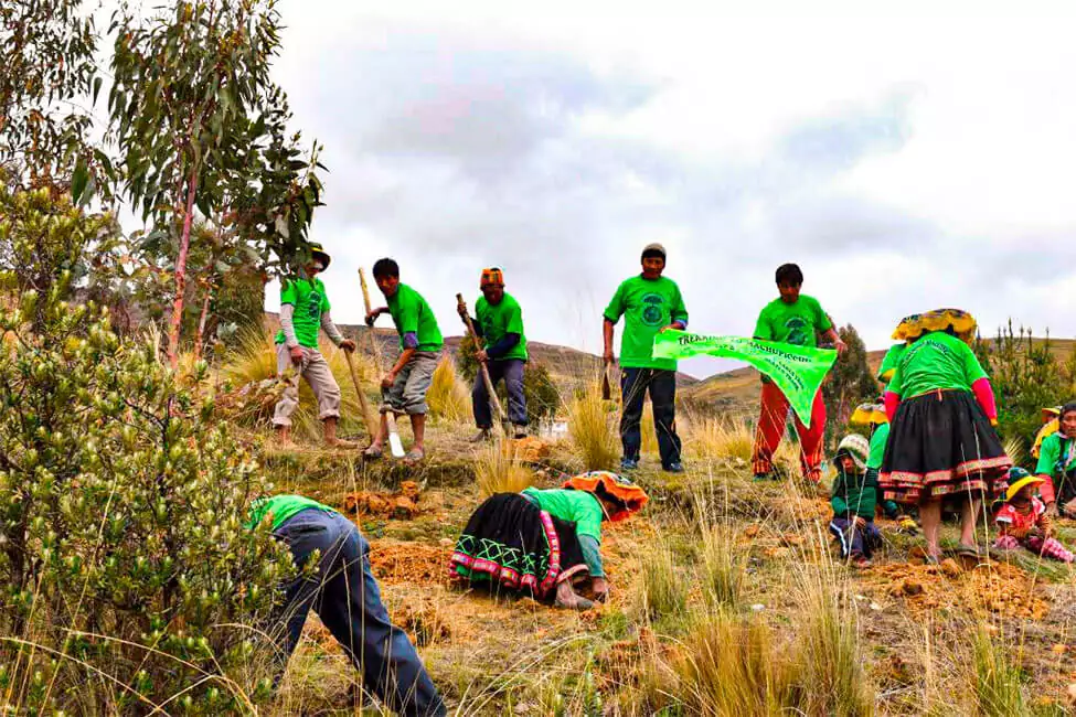 Queuna-Trees-Green-Machine-AE