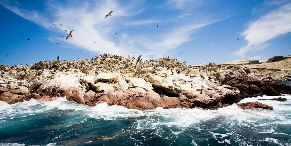 Totally Peru Package 22D 21N