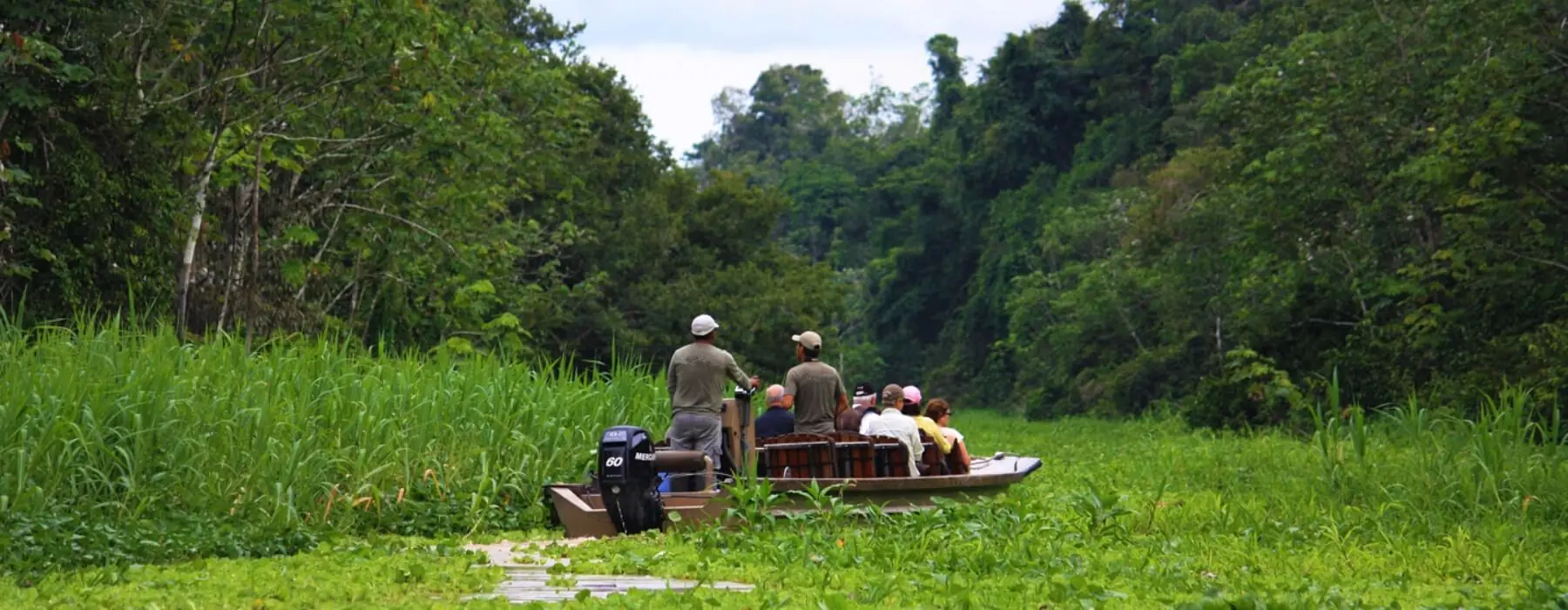 Amazon Rainforest