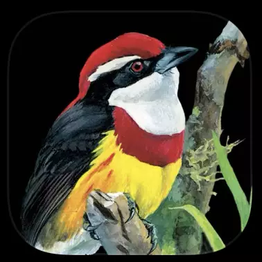 Birds of Peru Mobile App