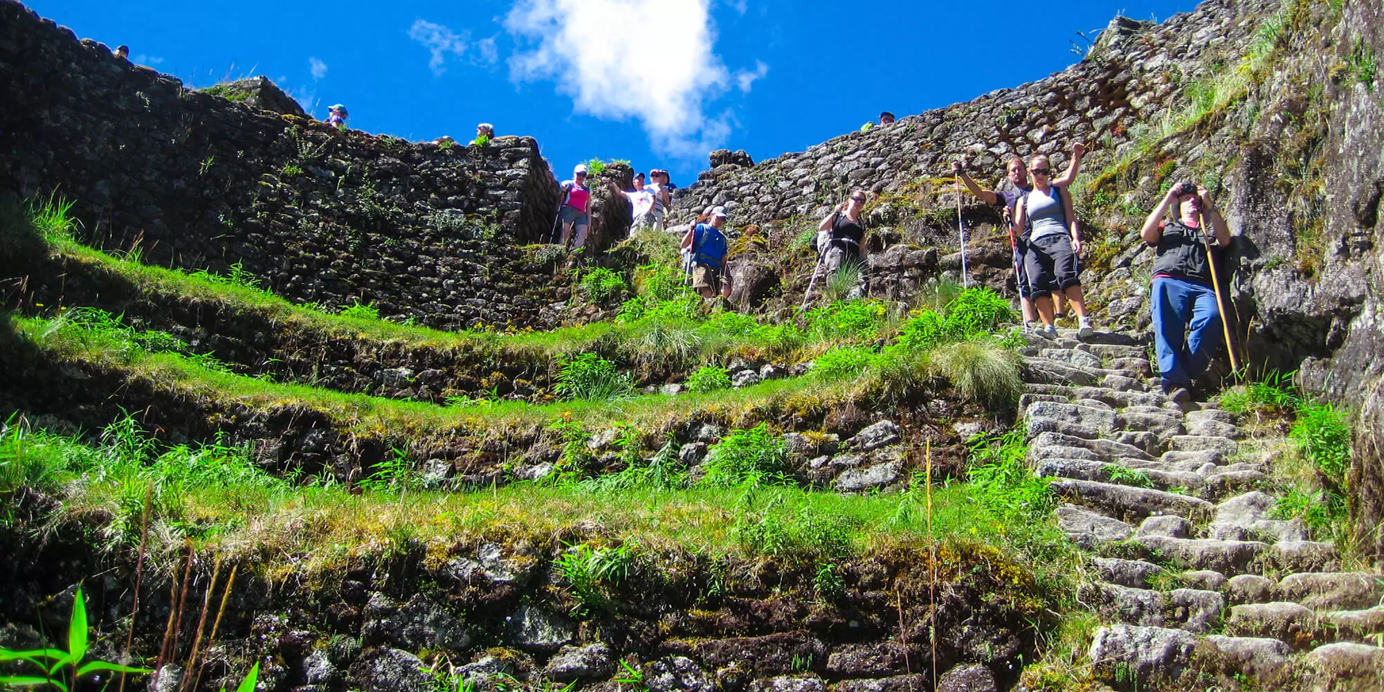 Alpaca Expeditions Machu Picchu