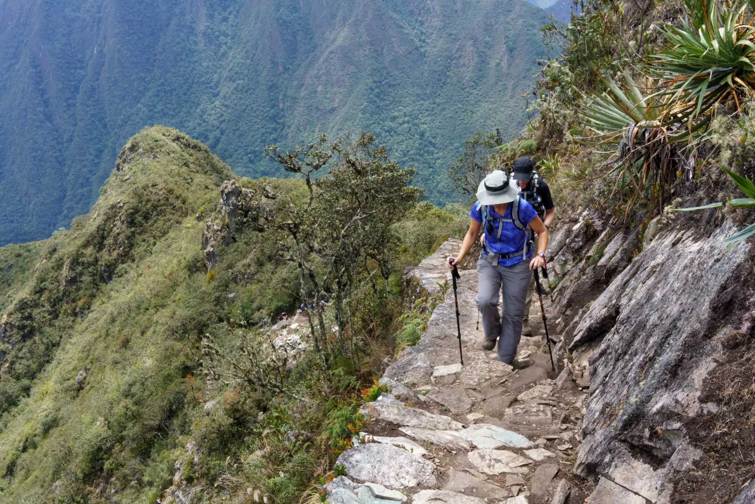 climbing machu picchu alpaca expeditions