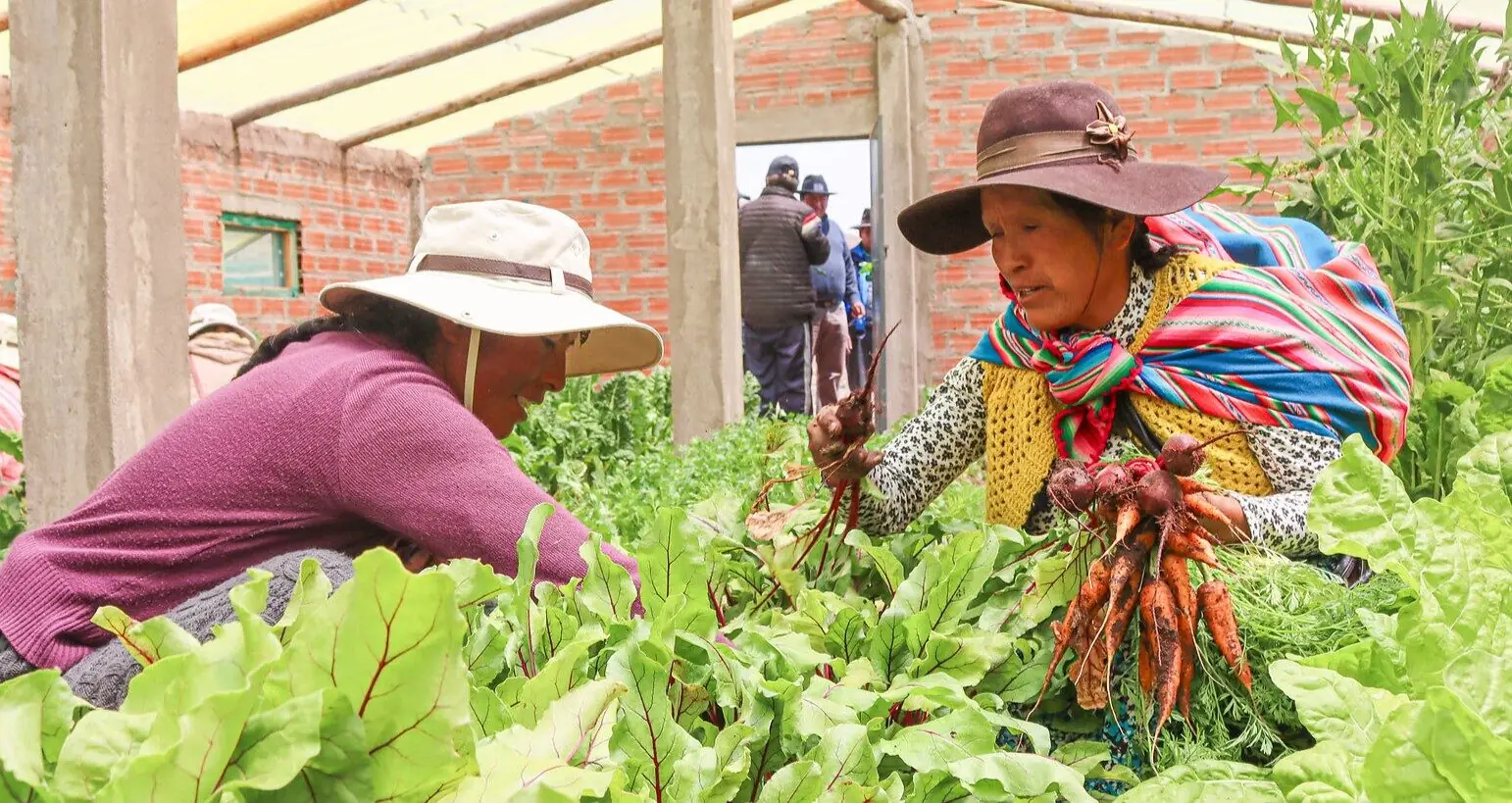 Supporting Women Farmers
